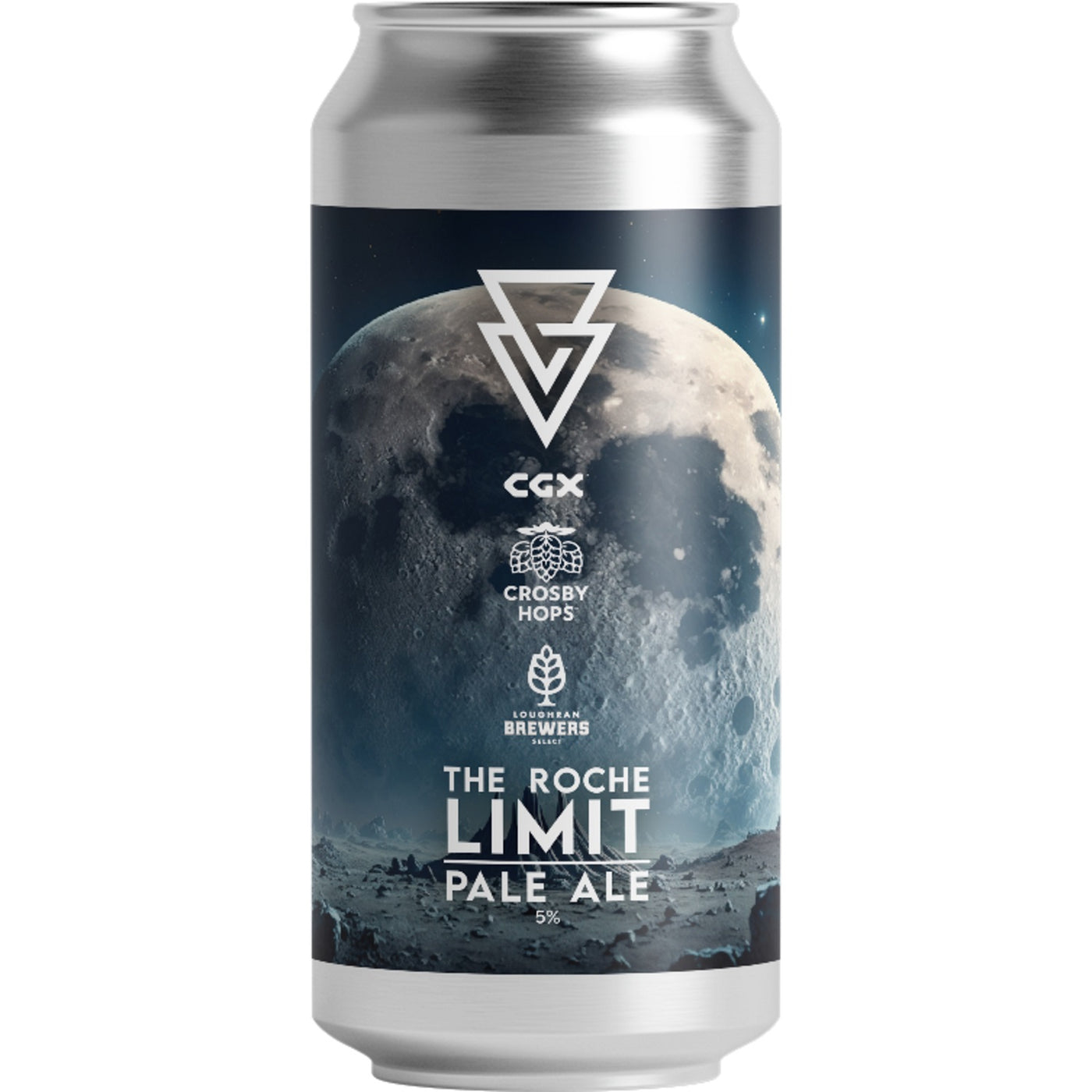 The Roche Limit